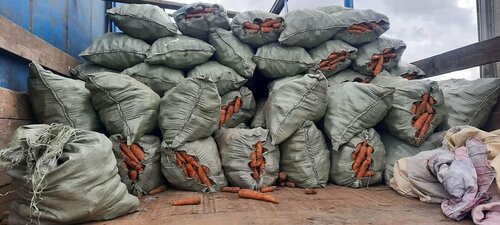 100 шуудай хүнсний ногоо хулгайлсан эмэгтэйг шалгаж байна